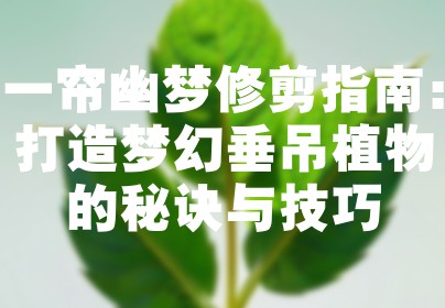 一帘幽梦修剪指南：打造梦幻垂吊植物的秘诀与技巧