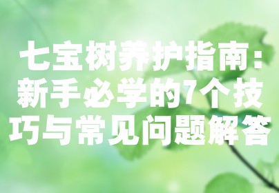 七宝树养护指南：新手必学的7个技巧与常见问题解答