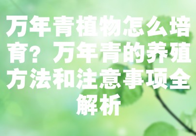 万年青植物怎么培育？万年青的养殖方法和注意事项全解析