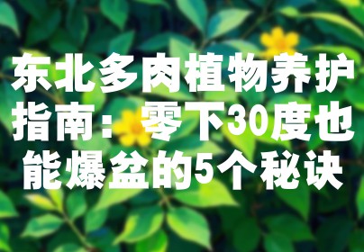 东北多肉植物养护指南：零下30度也能爆盆的5个秘诀