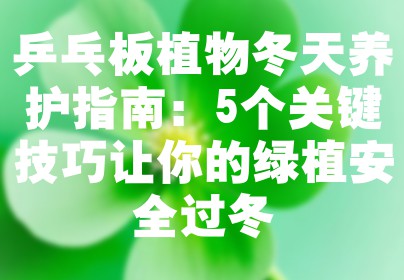 乒乓板植物冬天养护指南：5个关键技巧让你的绿植安全过冬