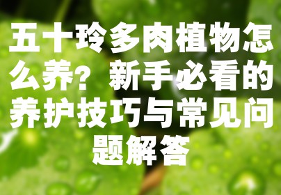 五十玲多肉植物怎么养？新手必看的养护技巧与常见问题解答