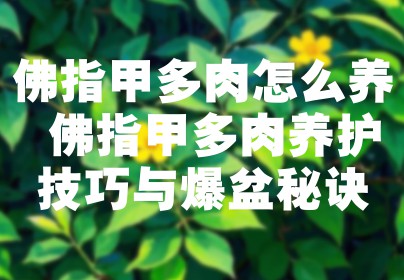 佛指甲多肉怎么养 佛指甲多肉养护技巧与爆盆秘诀