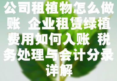 公司租植物怎么做账 企业租赁绿植费用如何入账 税务处理与会计分录详解