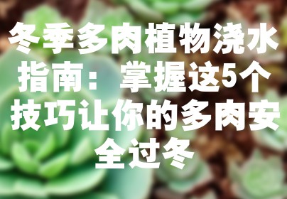 冬季多肉植物浇水指南：掌握这5个技巧让你的多肉安全过冬
