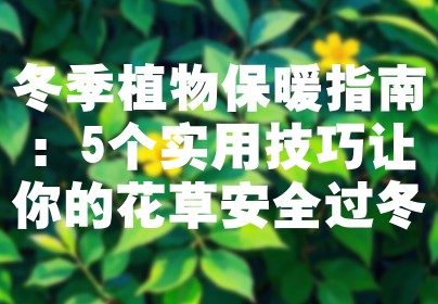 冬季植物保暖指南：5个实用技巧让你的花草安全过冬