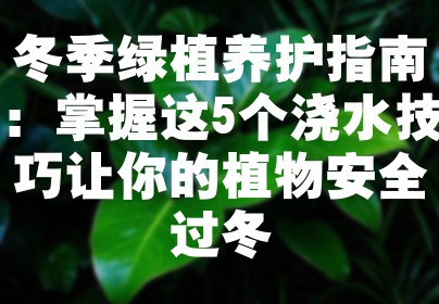 冬季绿植养护指南：掌握这5个浇水技巧让你的植物安全过冬