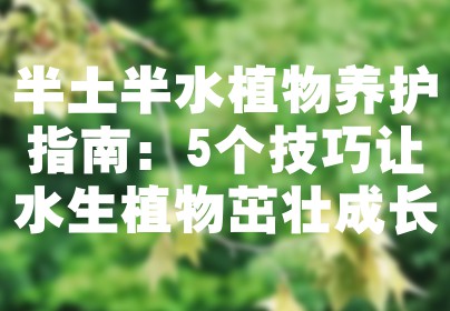 半土半水植物养护指南：5个技巧让水生植物茁壮成长