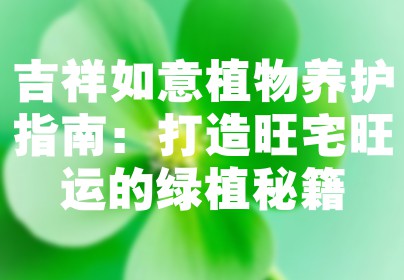 吉祥如意植物养护指南：打造旺宅旺运的绿植秘籍