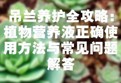 吊兰养护全攻略：植物营养液正确使用方法与常见问题解答