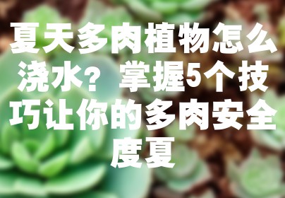夏天多肉植物怎么浇水？掌握5个技巧让你的多肉安全度夏
