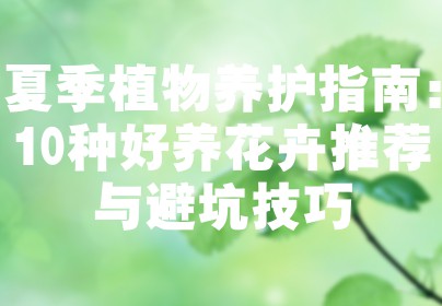 夏季植物养护指南：10种好养花卉推荐与避坑技巧