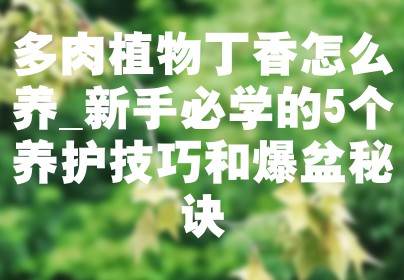 多肉植物丁香怎么养_新手必学的5个养护技巧和爆盆秘诀