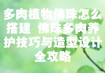 多肉植物佛珠怎么搭建 佛珠多肉养护技巧与造型设计全攻略