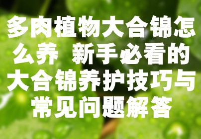 多肉植物大合锦怎么养 新手必看的大合锦养护技巧与常见问题解答