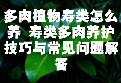 多肉植物寿类怎么养 寿类多肉养护技巧与常见问题解答