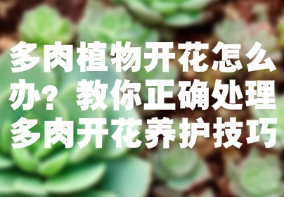 多肉植物开花怎么办？教你正确处理多肉开花养护技巧