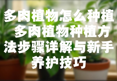 多肉植物怎么种植 多肉植物种植方法步骤详解与新手养护技巧