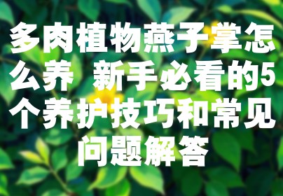 多肉植物燕子掌怎么养 新手必看的5个养护技巧和常见问题解答