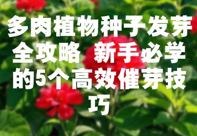 多肉植物种子发芽全攻略 新手必学的5个高效催芽技巧