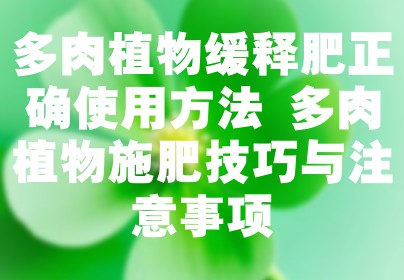 多肉植物缓释肥正确使用方法 多肉植物施肥技巧与注意事项