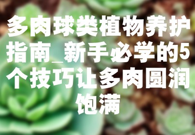 多肉球类植物养护指南_新手必学的5个技巧让多肉圆润饱满