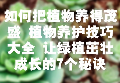 如何把植物养得茂盛 植物养护技巧大全 让绿植茁壮成长的7个秘诀