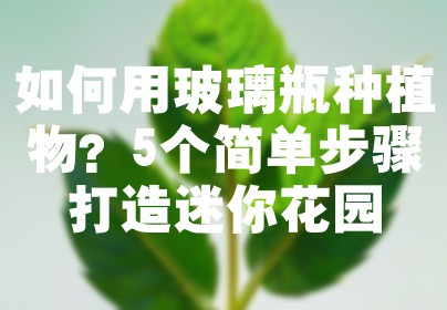 如何用玻璃瓶种植物？5个简单步骤打造迷你花园