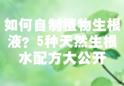 如何自制植物生根液？5种天然生根水配方大公开