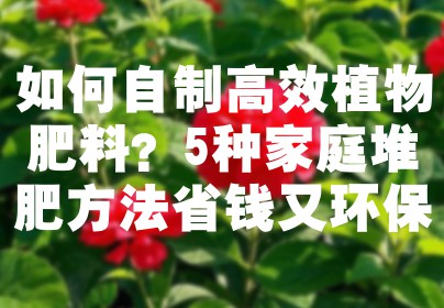 如何自制高效植物肥料？5种家庭堆肥方法省钱又环保