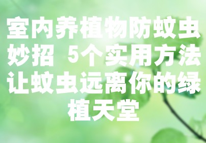 室内养植物防蚊虫妙招 5个实用方法让蚊虫远离你的绿植天堂