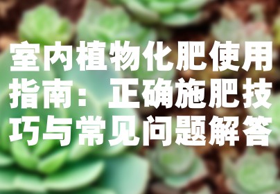 室内植物化肥使用指南：正确施肥技巧与常见问题解答