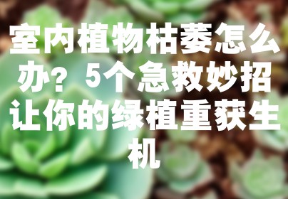 室内植物枯萎怎么办？5个急救妙招让你的绿植重获生机