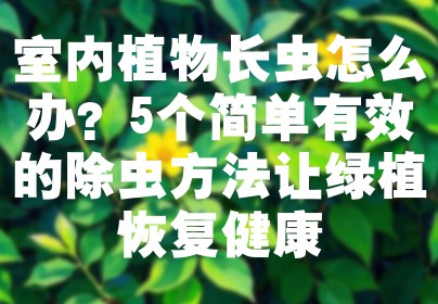 室内植物长虫怎么办？5个简单有效的除虫方法让绿植恢复健康