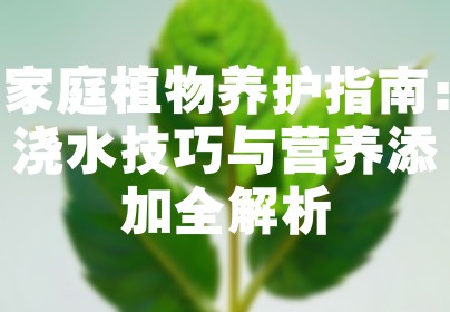 家庭植物养护指南：浇水技巧与营养添加全解析