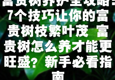 富贵树养护全攻略：7个技巧让你的富贵树枝繁叶茂 富贵树怎么养才能更旺盛？新手必看指南