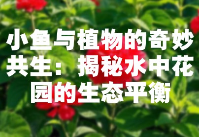 小鱼与植物的奇妙共生：揭秘水中花园的生态平衡