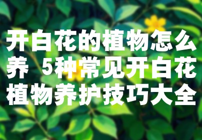 开白花的植物怎么养 5种常见开白花植物养护技巧大全