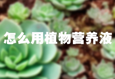 怎么用植物营养液