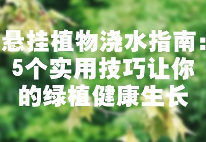 悬挂植物浇水指南：5个实用技巧让你的绿植健康生长