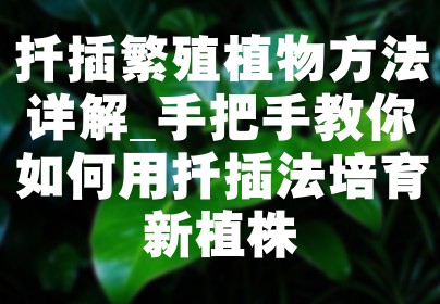 扦插繁殖植物方法详解_手把手教你如何用扦插法培育新植株