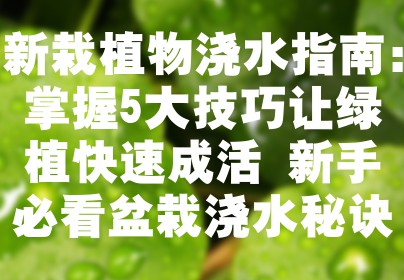 新栽植物浇水指南：掌握5大技巧让绿植快速成活 新手必看盆栽浇水秘诀