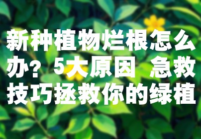 新种植物烂根怎么办？5大原因+急救技巧拯救你的绿植
