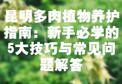 昆明多肉植物养护指南：新手必学的5大技巧与常见问题解答