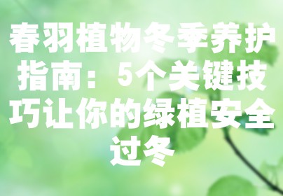 春羽植物冬季养护指南：5个关键技巧让你的绿植安全过冬
