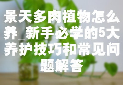 景天多肉植物怎么养_新手必学的5大养护技巧和常见问题解答