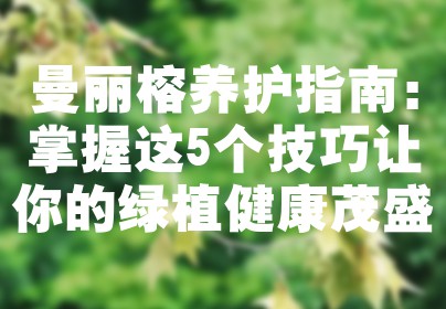 曼丽榕养护指南：掌握这5个技巧让你的绿植健康茂盛