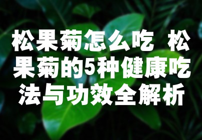 松果菊怎么吃 松果菊的5种健康吃法与功效全解析