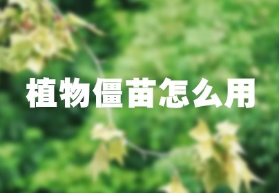 植物僵苗怎么用