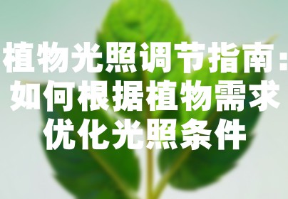 植物光照调节指南：如何根据植物需求优化光照条件
